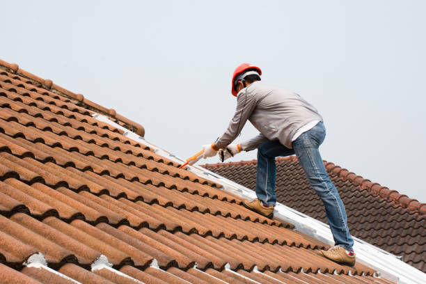 Best Roofing for New Construction  in Mcewen, TN