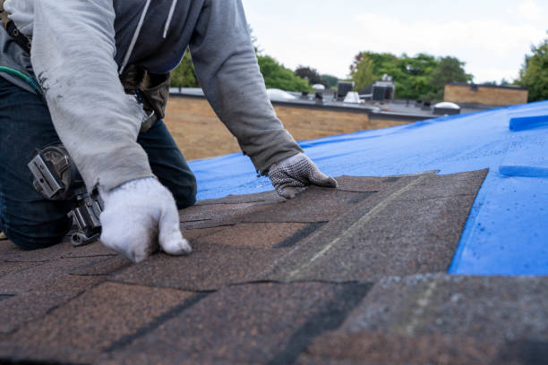 Best Green or Eco-Friendly Roofing Solutions  in Mcewen, TN