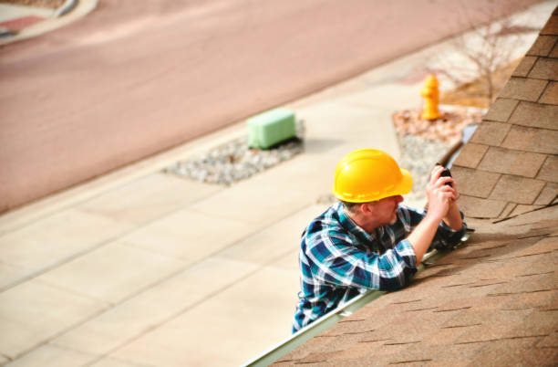 Best Solar Panel Roofing Installation  in Mcewen, TN